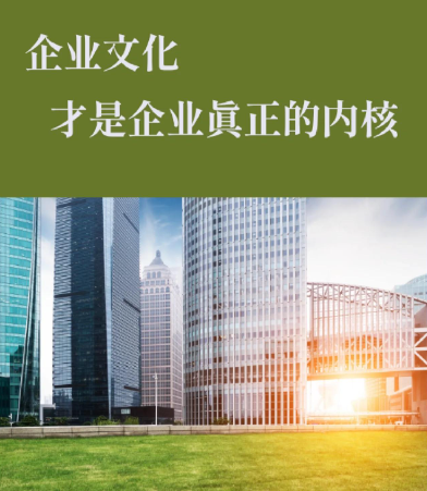 2024年海口诏启俐网络科技电商店铺代运营托管服务内容解析